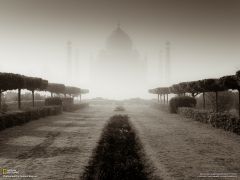 Tapeta National Geographic 626.jpg